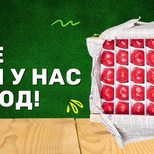 Центральная часть баннера